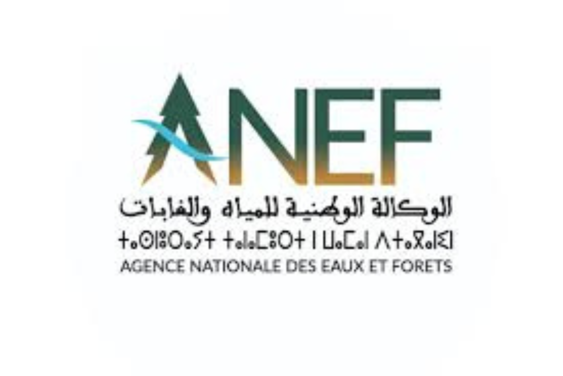 خرائط استباقية لرصد مخاطر حرائق الغابات تحذيرات قصوى بعدد من الأقاليم المغربية