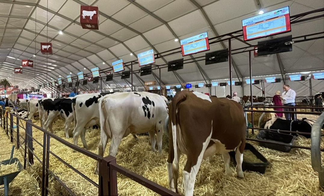  المعرض الدولي للفلاحة بمكناس في دورته 18 : تنوع و غنى المنتوج الفلاحي المغربي